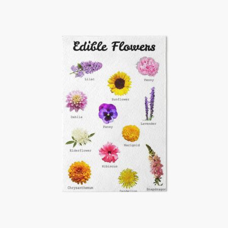 Your Guide To Edible Flowers | Photographic Print