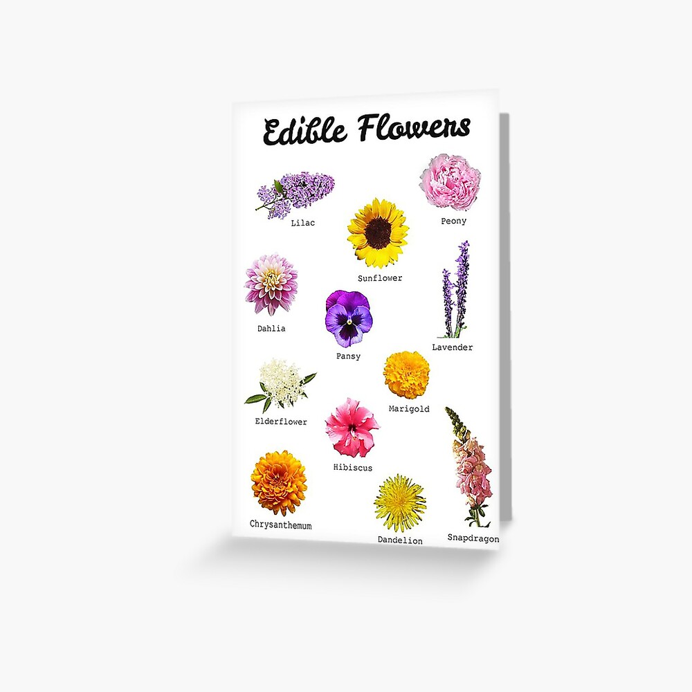 Your Guide To Edible Flowers | Photographic Print