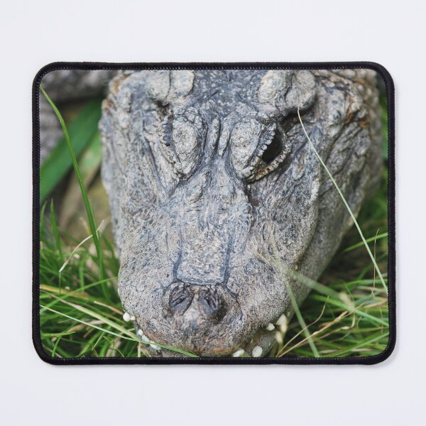 Item preview, Alligator Chinois designed and sold by Deoarts.