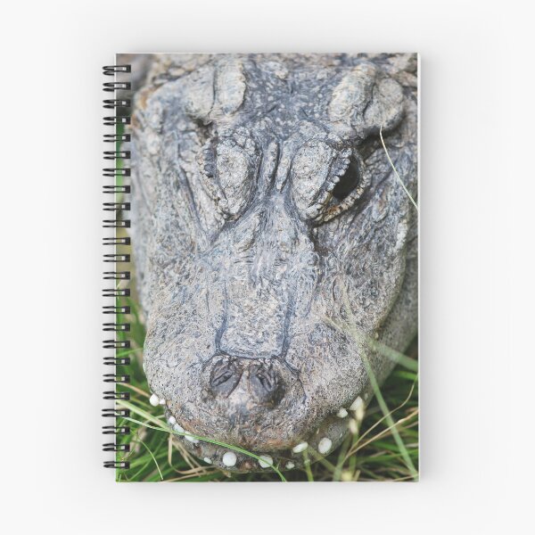 Item preview, Alligator Chinois designed and sold by Deoarts.