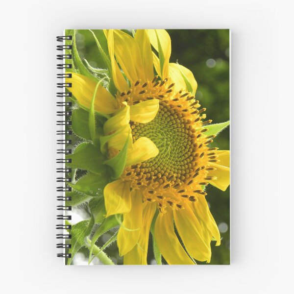 Item preview, Sunflower designed and sold by k.d schubach.