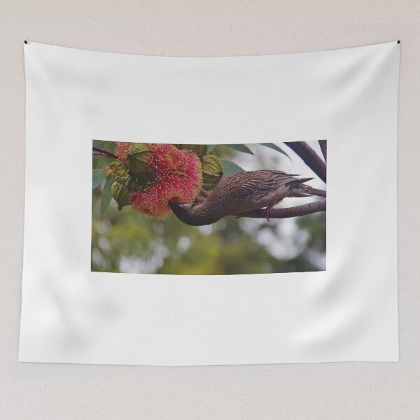 Item preview, Lunch time!  (Wattlebird (Anthochaera)) designed and sold by lezvee.