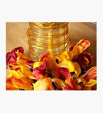NATURE: ..TULIPS IN TIME Photographic Print