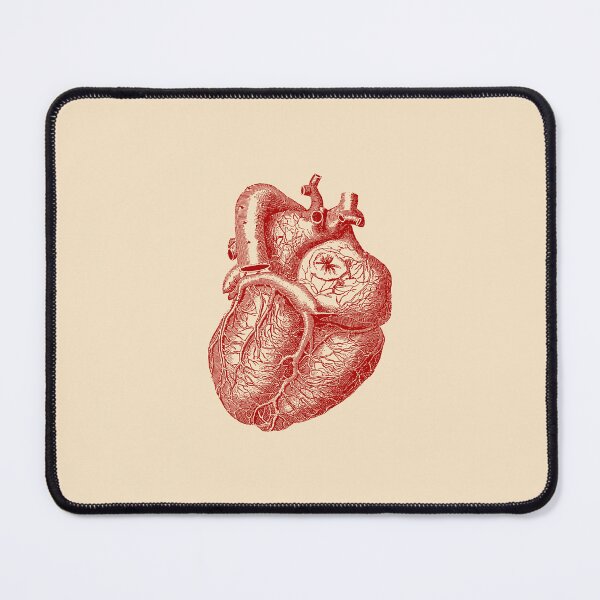 Item preview, Heart Anatomy designed and sold by GGlobeStudio.