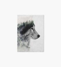 Wolf Stare Art Board