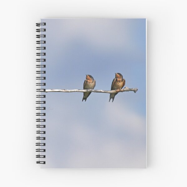Item preview, Barn Swallow Bird Buddies designed and sold by PaulKPhoto.