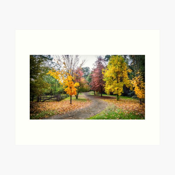 Item preview, Country Lane in Autumn designed and sold by Peter Rattigan.