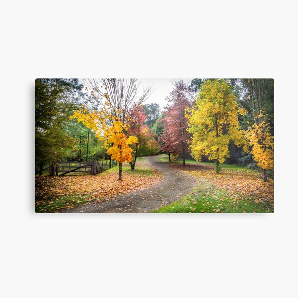 Item preview, Country Lane in Autumn designed and sold by Peter Rattigan.