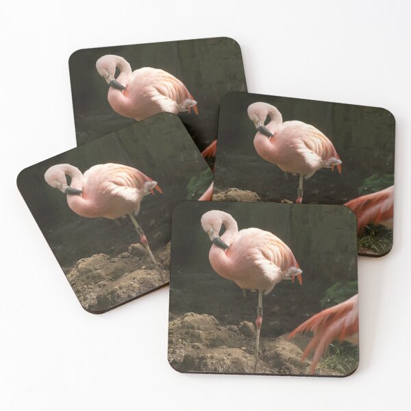Item preview, Flamingo  designed and sold by asun5.