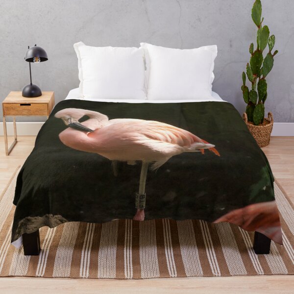Item preview, Flamingo  designed and sold by asun5.