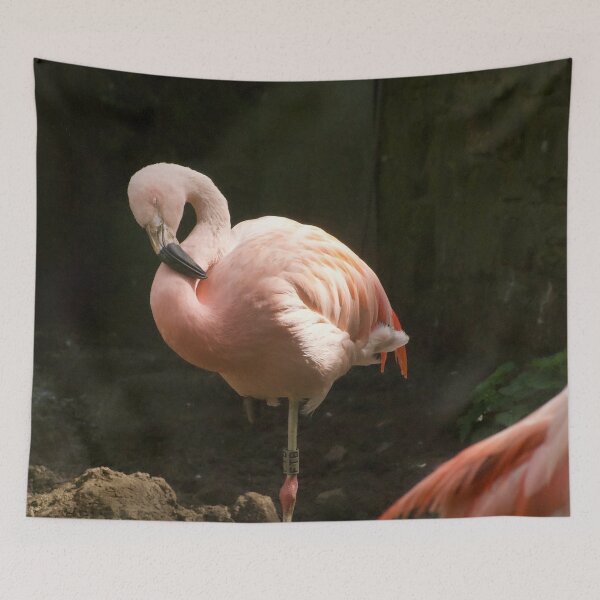 Item preview, Flamingo  designed and sold by asun5.