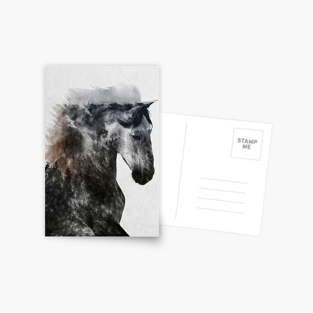 Proud Stallion Postcard