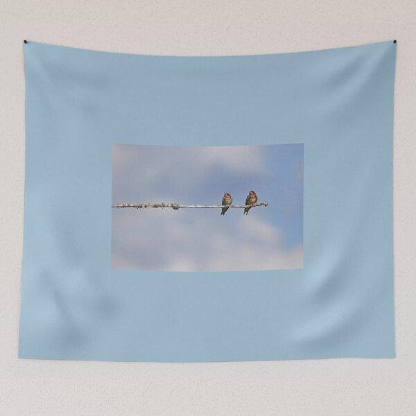 Item preview, Barn Swallow Bird Buddies designed and sold by PaulKPhoto.