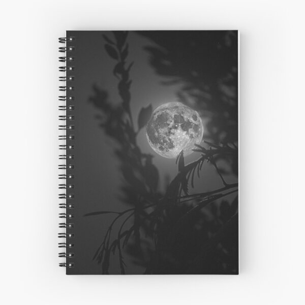 Item preview, August super moon. designed and sold by Paul Pasco.