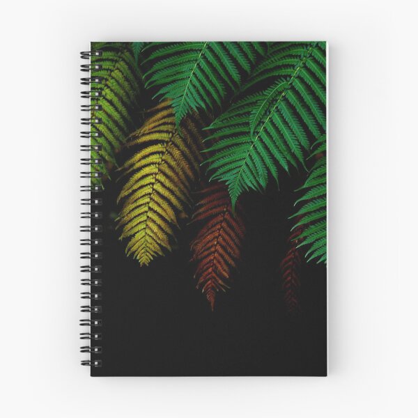 Item preview, Ferntrees.....Daintree National Park designed and sold by Imi Koetz.