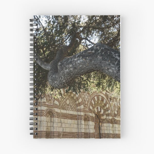 Item preview, Church of St John Aliturgetos - Gnarly Pine and Intricate Byzantine Facade designed and sold by Georgia Mizuleva.
