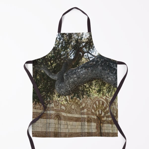 Item preview, Church of St John Aliturgetos - Gnarly Pine and Intricate Byzantine Facade designed and sold by Georgia Mizuleva.