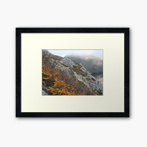 bright hillside by Cradle Mt Framed Art Print