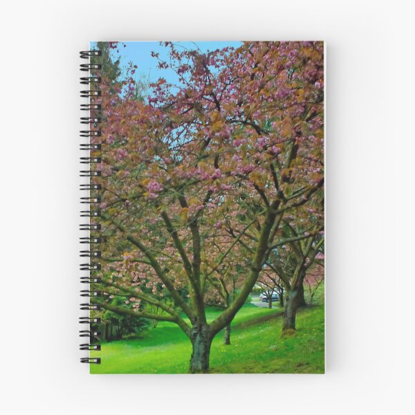 Artikelvorschau, Im Rosa, Frühling, Vancouver BC, Kanada entworfen und verkauft von Priscilla Turner.