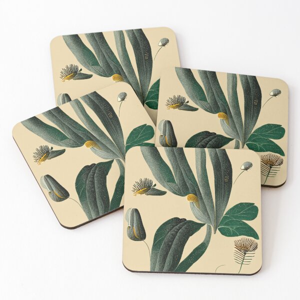 Artikelvorschau, Botanicals entworfen und verkauft von deificusArt.