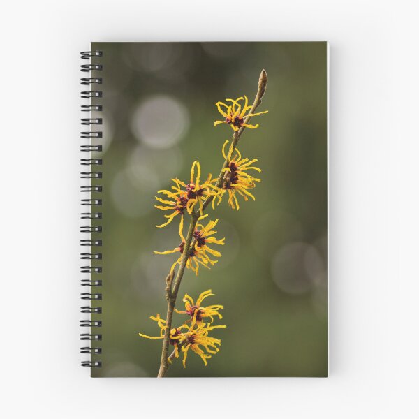 Item preview, Signs of Spring designed and sold by Viv Thompson Photography .