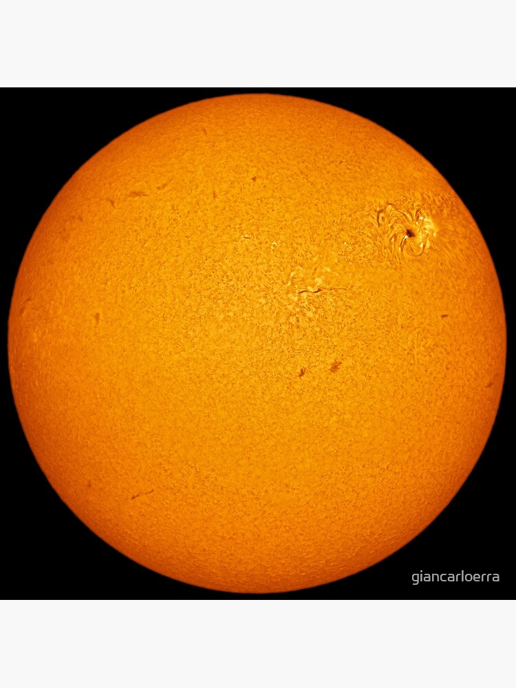Sun disc in Hydrogen Alpha by giancarloerra