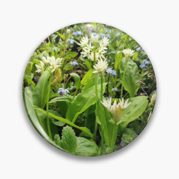 Item preview, Herb bed with wild garlic designed and sold by Gourmetkater.
