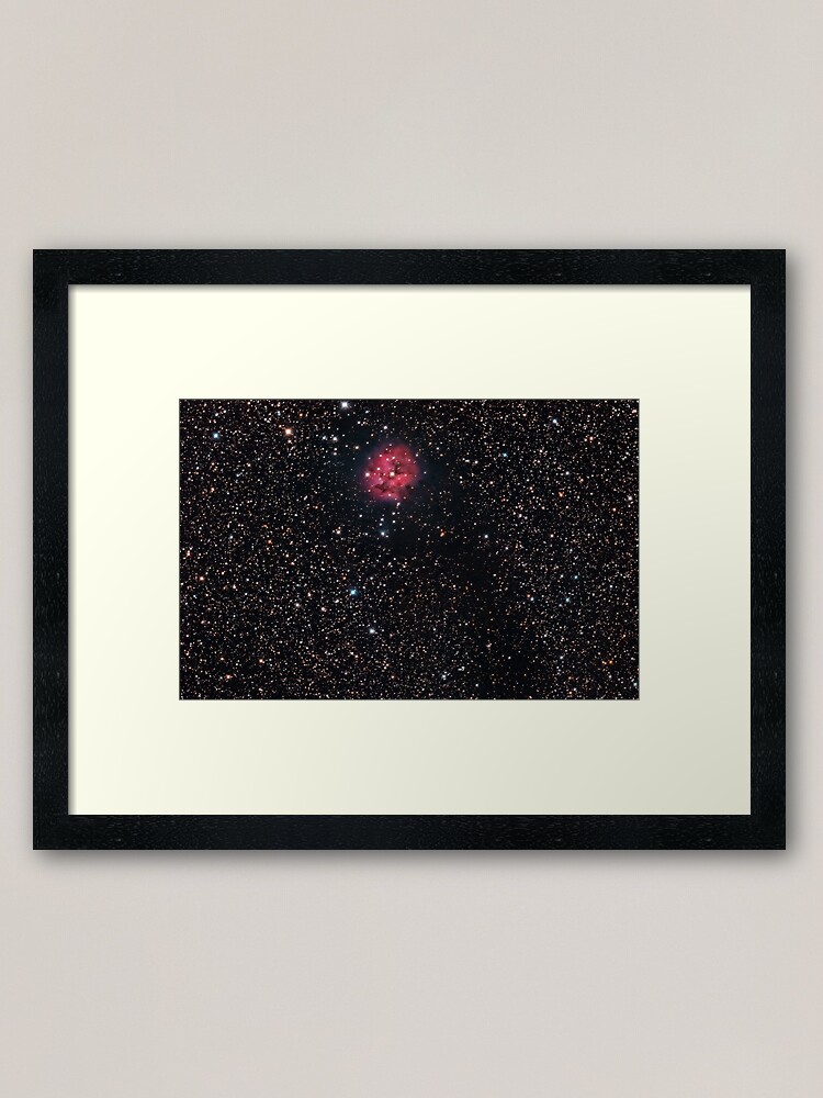 Alternate view of Cocoon Nebula Framed Art Print