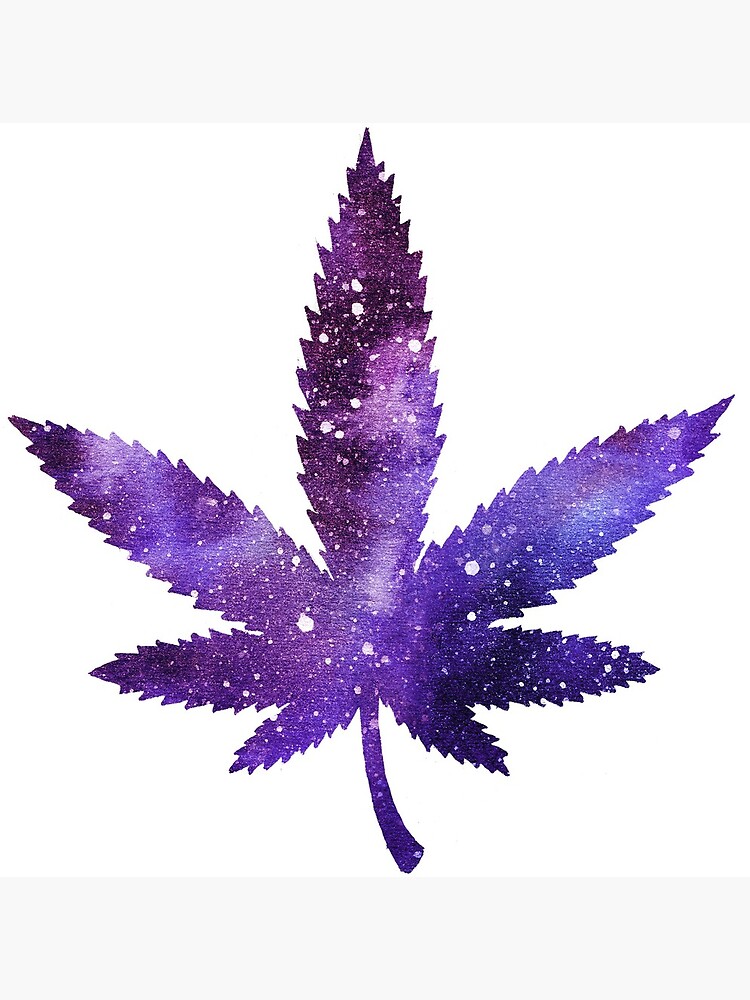 marijuana leaf sticker purple space photographic print