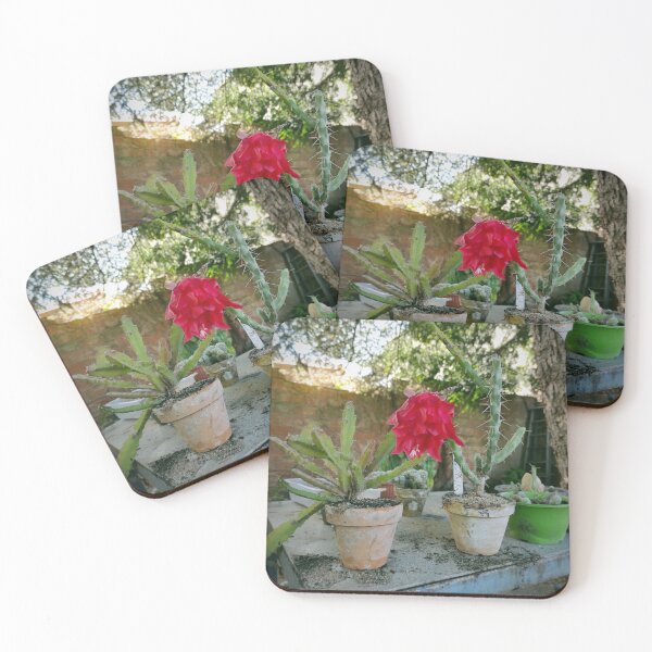 Item preview, Prickly Gardening designed and sold by Gourmetkater.