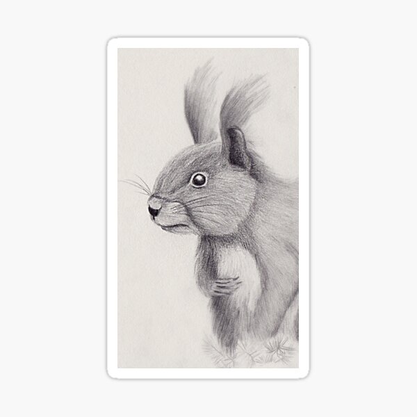 Squirrel Art Monochrome Sketch Sticker
