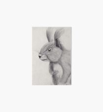 Red Squirrel Art Board
