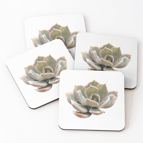 Item preview, Vibrant Succulent designed and sold by PigeonImitator.