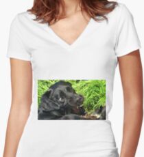 Verspielt, ehrlich! Tailliertes T-Shirt mit V-Ausschnitt