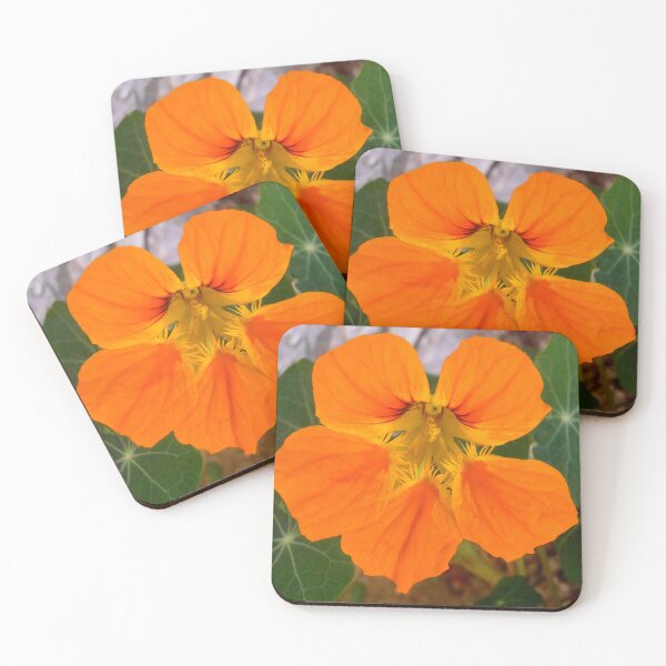 Item preview, Nasturtium designed and sold by Shulie1.