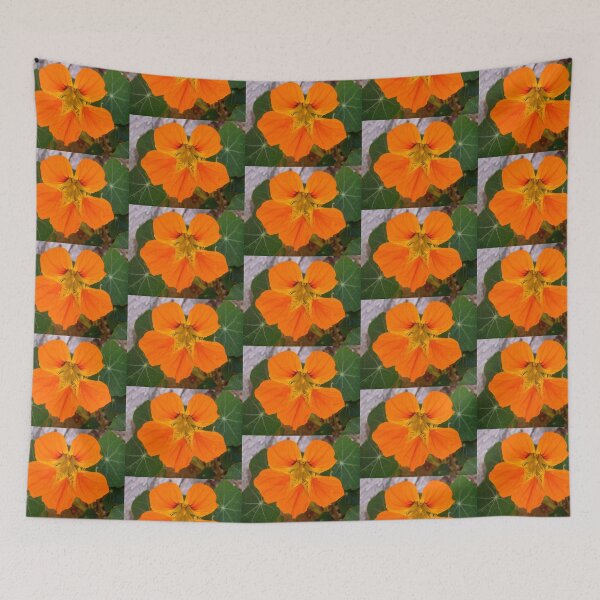 Item preview, Nasturtium designed and sold by Shulie1.
