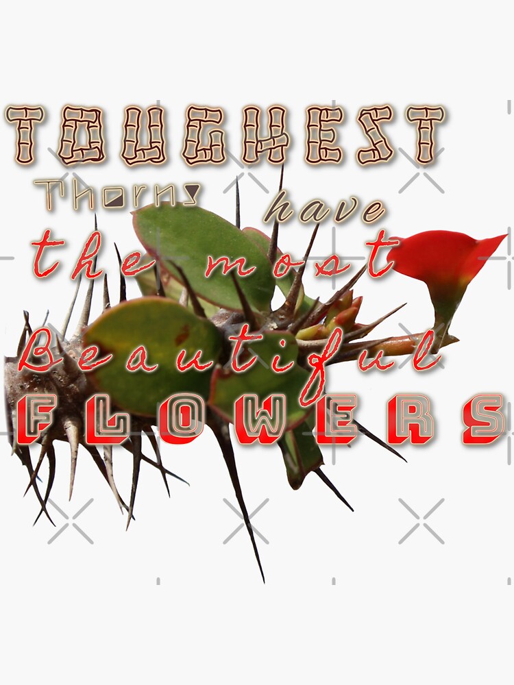 "Flowers and thorns quotes" Sticker for Sale by Ramyaithal Redbubble