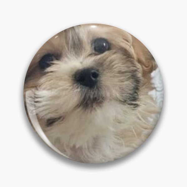 Item preview, i love shichon designed and sold by rodayn2.