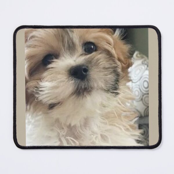 Item preview, i love shichon designed and sold by rodayn2.