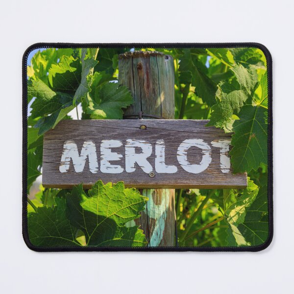 Item preview, Merlot Grape Winery Vineyard Okanagan Valley designed and sold by Kevin Miller Photography.