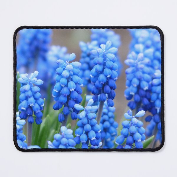 Item preview, Blue Flowers designed and sold by Taceo10.