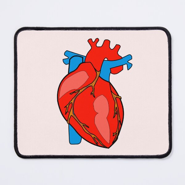 Item preview, Heart Cardiology Illustration - For Doctors, Nurses, Pre Med, Healthcare Professionals, Medical School | Human Anatomy | Medical Musings designed and sold by Medical Musings.
