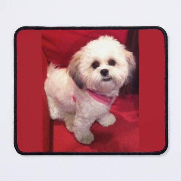 Item preview, i love shichon designed and sold by rodayn2.