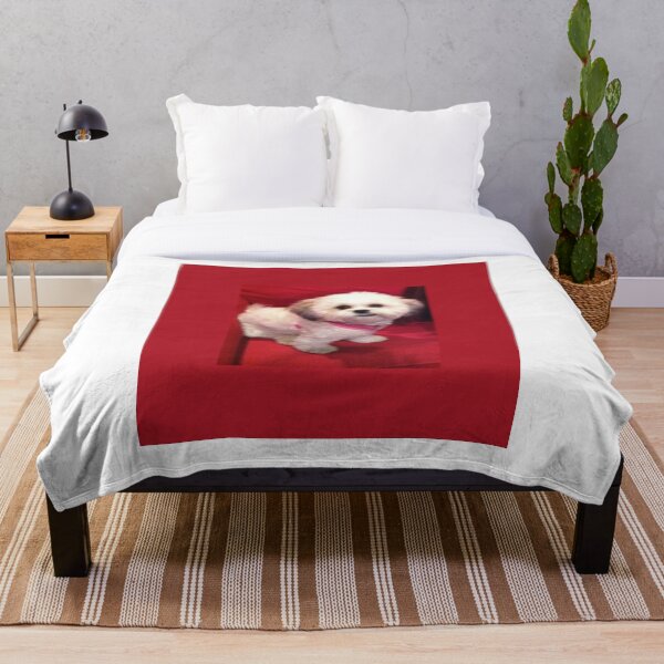 Item preview, me encanta shichon designed and sold by rodayn2.
