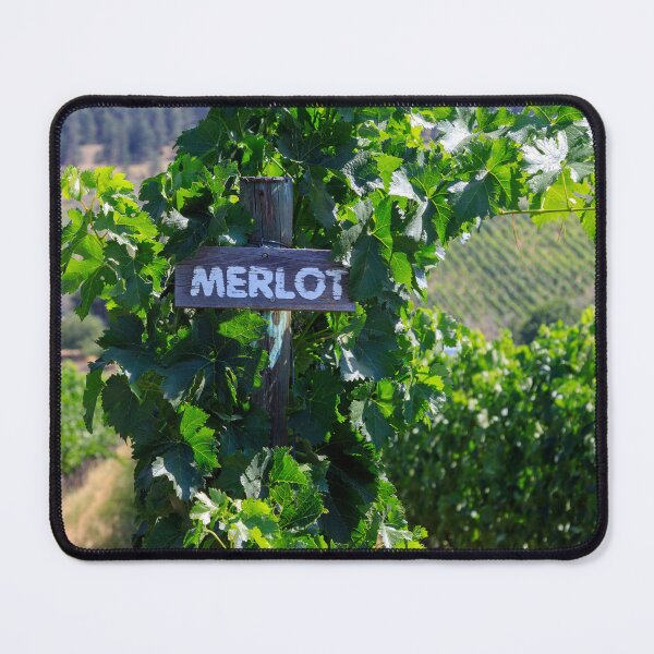 Item preview, Merlot Grape Winery Vineyard Okanagan Valley designed and sold by Kevin Miller Photography.