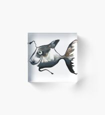 Dogfish Acrylic Block