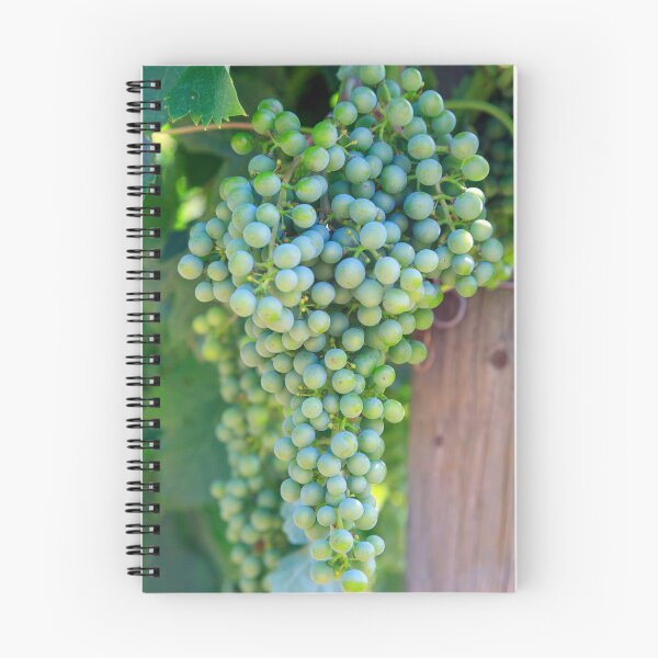 Item preview, Merlot Grape Winery Vineyard Okanagan Valley designed and sold by Kevin Miller Photography.