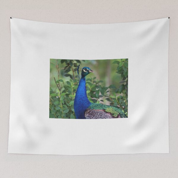Item preview, Peacock Portrait designed and sold by Cynthia48.
