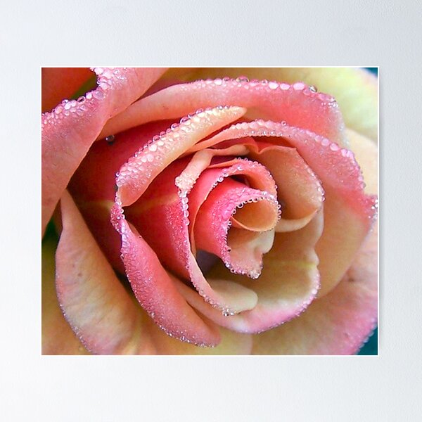 Item preview, Dew Kissed designed and sold by daverach1.