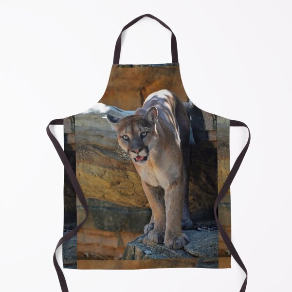 Item preview, Mountain Lion designed and sold by Savannah Gibbs.